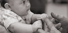 Volunteer Opportunities